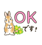 毎日（初夏）☆うさぎのスタンプ（個別スタンプ：15）