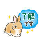 毎日（初夏）☆うさぎのスタンプ（個別スタンプ：16）