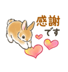 毎日（初夏）☆うさぎのスタンプ（個別スタンプ：21）
