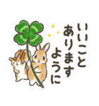 毎日（初夏）☆うさぎのスタンプ（個別スタンプ：24）