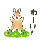 毎日（初夏）☆うさぎのスタンプ（個別スタンプ：28）