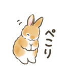 毎日（初夏）☆うさぎのスタンプ（個別スタンプ：31）