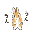 毎日（初夏）☆うさぎのスタンプ（個別スタンプ：32）