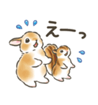 毎日（初夏）☆うさぎのスタンプ（個別スタンプ：33）