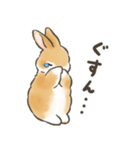 毎日（初夏）☆うさぎのスタンプ（個別スタンプ：34）