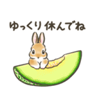 毎日（初夏）☆うさぎのスタンプ（個別スタンプ：37）