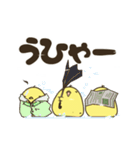 ヒヨコ×3 ごっ（個別スタンプ：22）