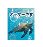 海の世界----SeaWorld----（個別スタンプ：4）