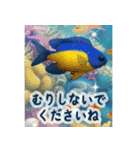 海の世界----SeaWorld----（個別スタンプ：12）