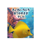 海の世界----SeaWorld----（個別スタンプ：22）
