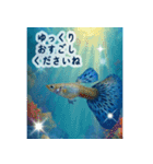 海の世界----SeaWorld----（個別スタンプ：23）