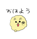 気ままなポメラニアンさん（個別スタンプ：1）