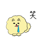 気ままなポメラニアンさん（個別スタンプ：9）