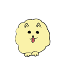 気ままなポメラニアンさん（個別スタンプ：11）