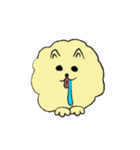 気ままなポメラニアンさん（個別スタンプ：12）