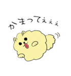 気ままなポメラニアンさん（個別スタンプ：13）