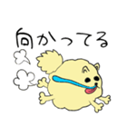 気ままなポメラニアンさん（個別スタンプ：22）