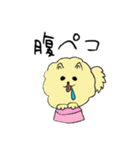 気ままなポメラニアンさん（個別スタンプ：29）