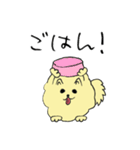 気ままなポメラニアンさん（個別スタンプ：32）