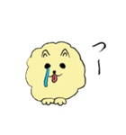 気ままなポメラニアンさん（個別スタンプ：34）