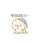 ビションフリーゼの「ねむすけ」（個別スタンプ：38）