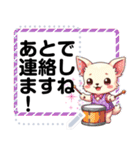 チワワのくーちゃんメッセージスタンプ①（個別スタンプ：13）