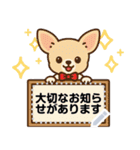 チワワのくーちゃんメッセージスタンプ①（個別スタンプ：19）