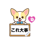 チワワのくーちゃんメッセージスタンプ①（個別スタンプ：21）