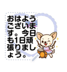 チワワのくーちゃんメッセージスタンプ①（個別スタンプ：24）
