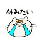 でぶ猫と魚【毎日使える】（個別スタンプ：21）