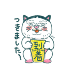 よく使う言葉♪ハチワレねこ【はち田さん】（個別スタンプ：26）