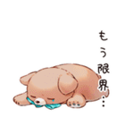 眠い日のやさしいくま（個別スタンプ：5）