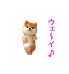 踊る！ブリーフ豆柴（個別スタンプ：12）