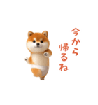 踊る！ブリーフ豆柴（個別スタンプ：21）