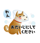 オトナメルヘン＊なかよし敬語＊犬たちと（個別スタンプ：34）