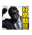 サングラスしたゴリラ【台湾】（個別スタンプ：8）