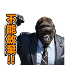 サングラスしたゴリラ【台湾】（個別スタンプ：34）
