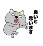 【敬語】ネコ三兄弟二郎26（個別スタンプ：11）
