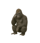 寡黙なゴリラ 静かなるゴリラ（個別スタンプ：2）