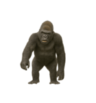 寡黙なゴリラ 静かなるゴリラ（個別スタンプ：8）