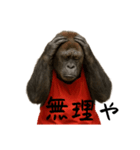 赤エプロンのゴリラ（50）更年期です（個別スタンプ：2）