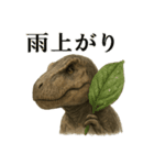 【梅雨入り】雨の日のティラノサウルス恐竜（個別スタンプ：10）