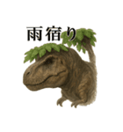 【梅雨入り】雨の日のティラノサウルス恐竜（個別スタンプ：11）