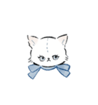 ねこっ 日常スタンプ（文字無し）（個別スタンプ：1）