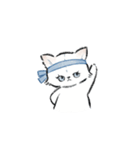 ねこっ 日常スタンプ（文字無し）（個別スタンプ：16）