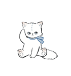 ねこっ 日常スタンプ（文字無し）（個別スタンプ：24）