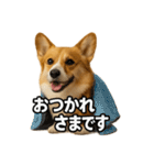 毎日つかえるコーギー（個別スタンプ：32）