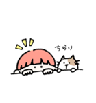 ぼくとわたしとネコ（個別スタンプ：11）