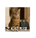 毎日セレブな猫スタンプ（個別スタンプ：2）