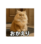 毎日セレブな猫スタンプ（個別スタンプ：3）